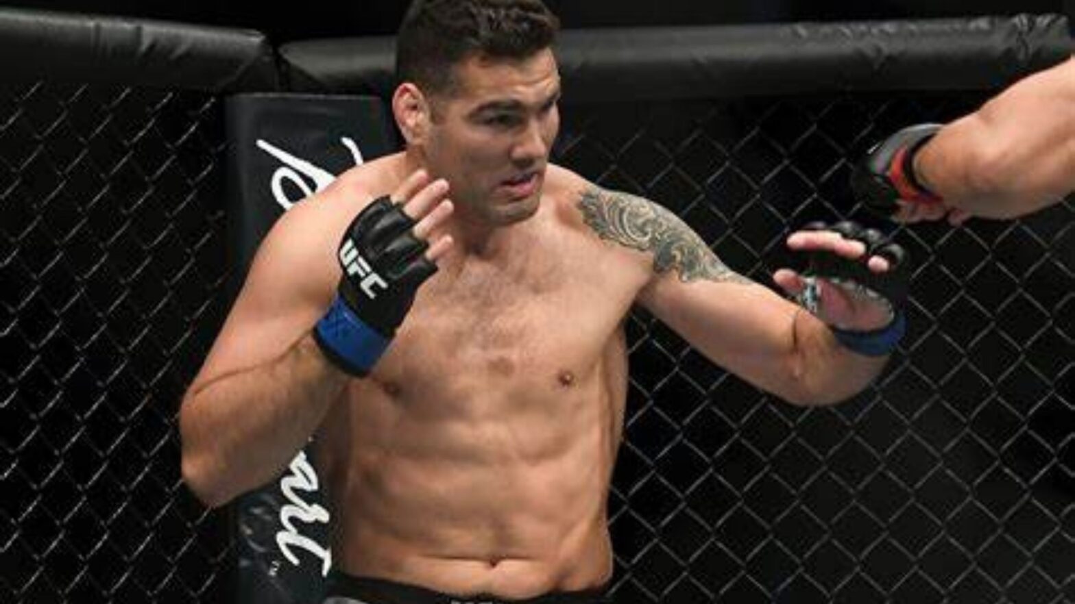 Most Underrated UFC Fighters Of All Time In The World Ranked