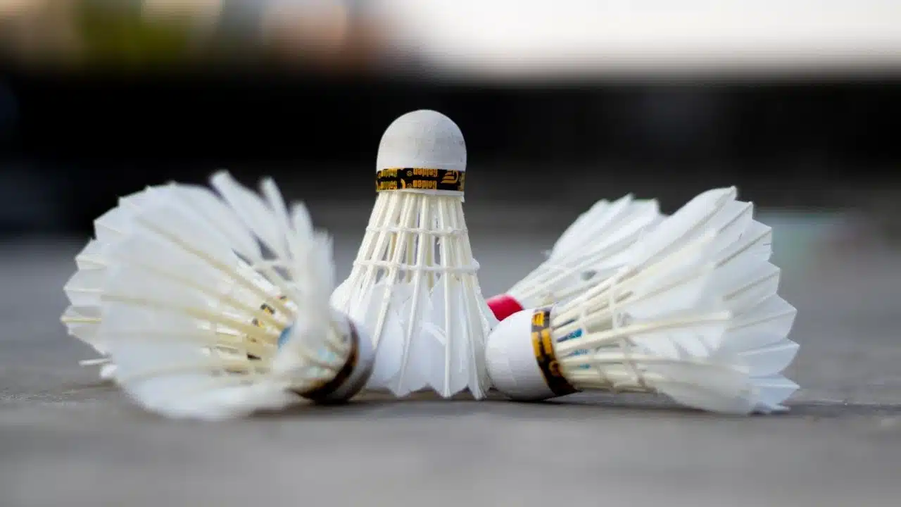 Hylo Open 2021 Badminton Men’s Singles Semi-Final: Schedule, Venue, Fixtures, Results, Date, Time, Live Stream, Draw