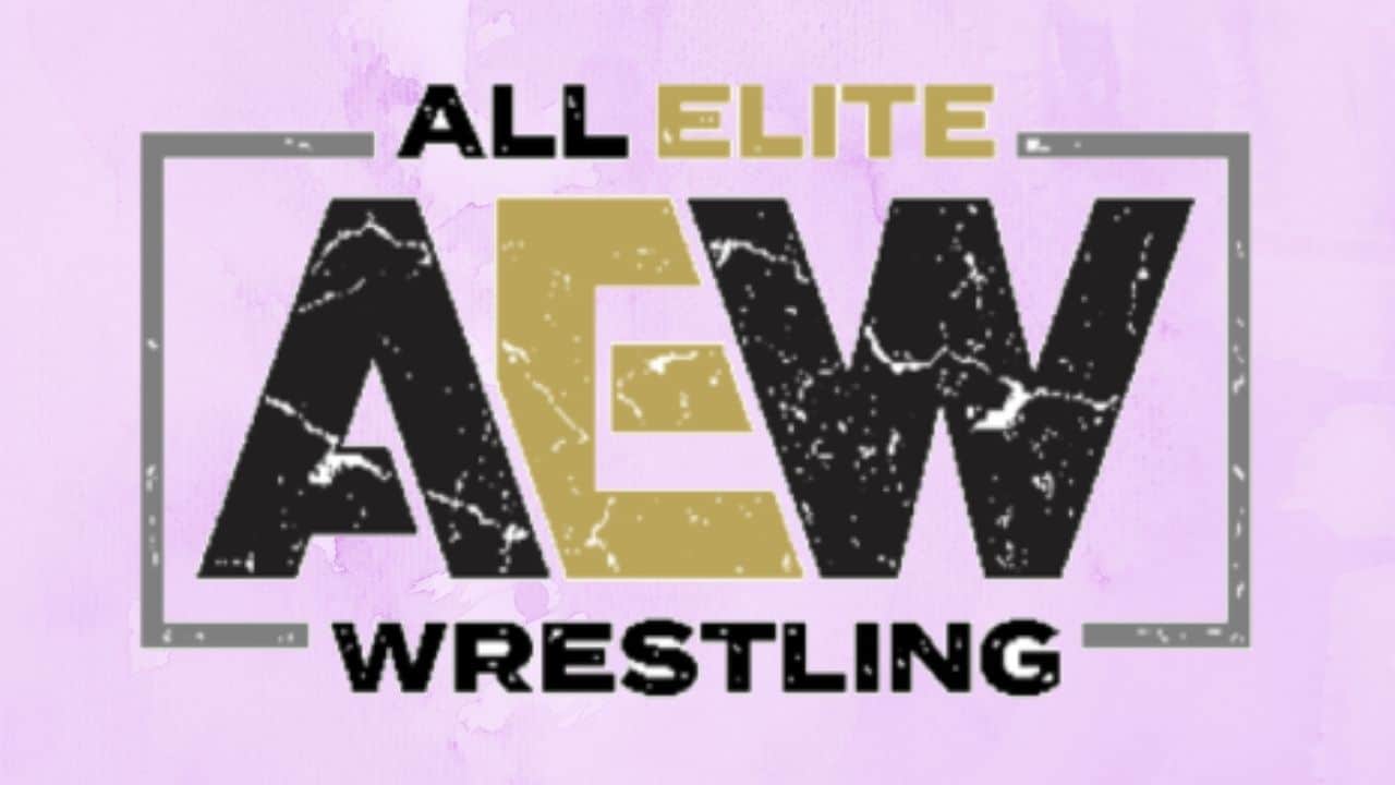 Know Who Are The Top Merchandise Sellers In AEW And Where To Buy Them From