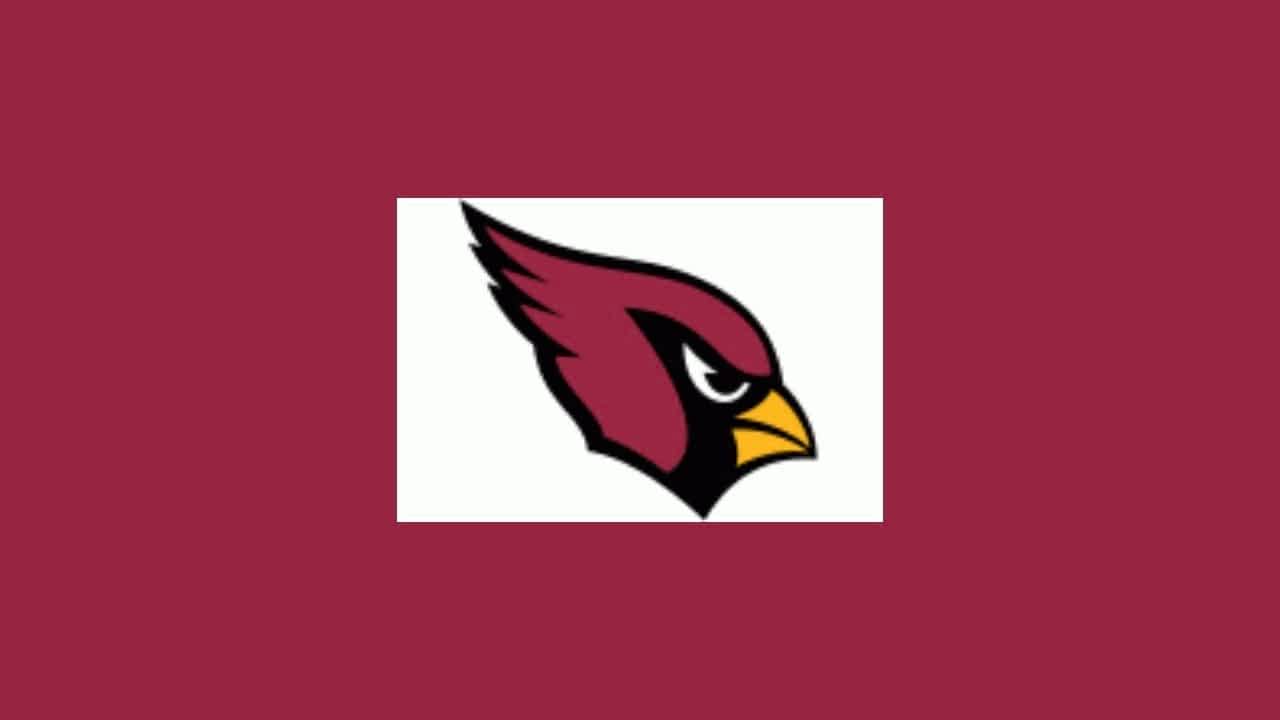 Who is Michael Bidwill Arizona Cardinals owner, net worth in 2023