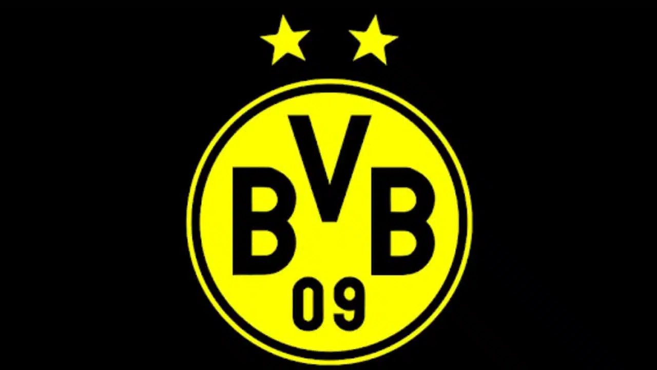Borussia Dortmund manager Edin Terzic biography, age, wife, salary, religion, tactics