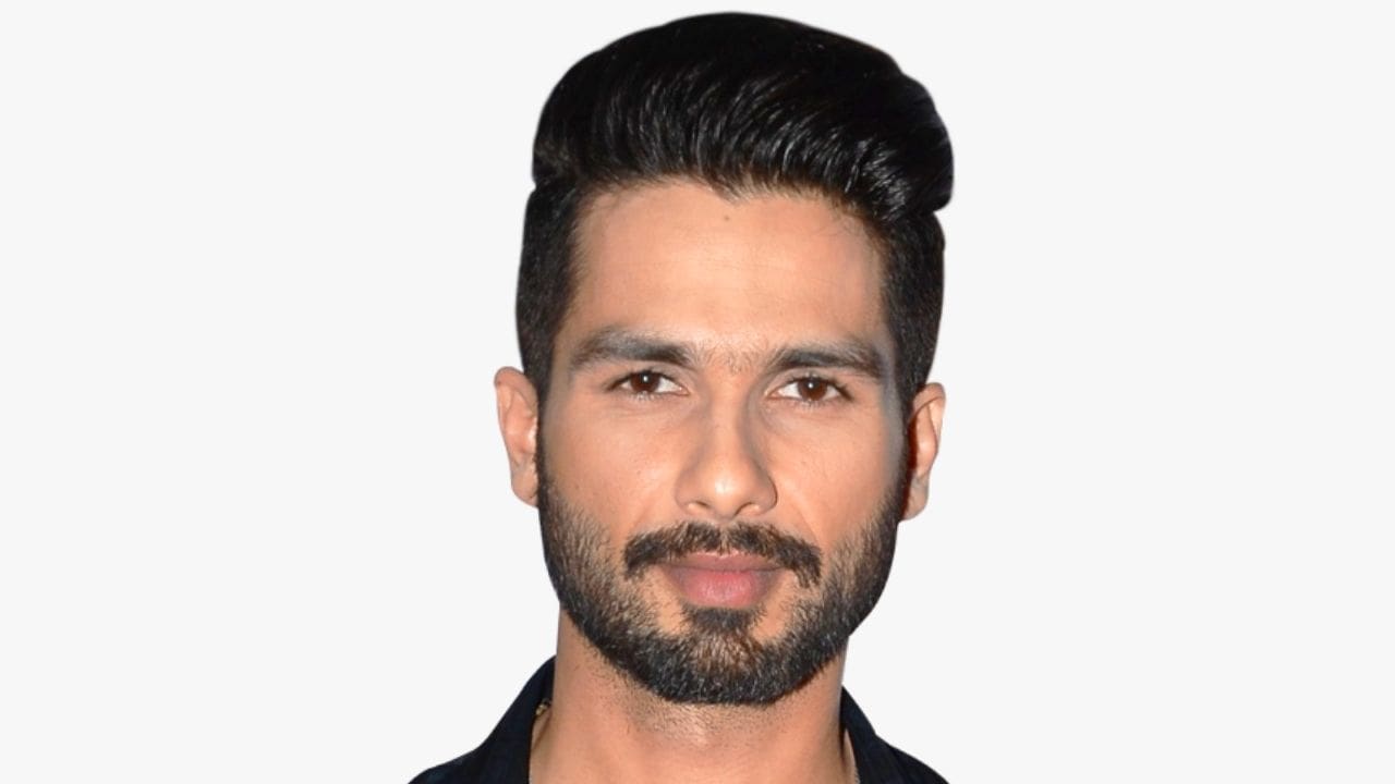 Bloody Daddy Shahid Kapoor movie ending explained, review and plot story