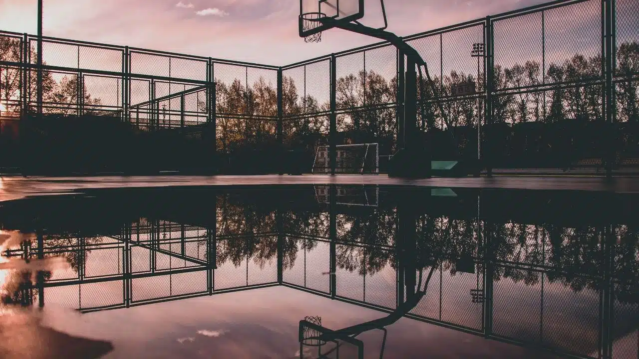 Who Is Robert Bobroczkyi Basketball Player And Alien 3 Romulus Actor ...