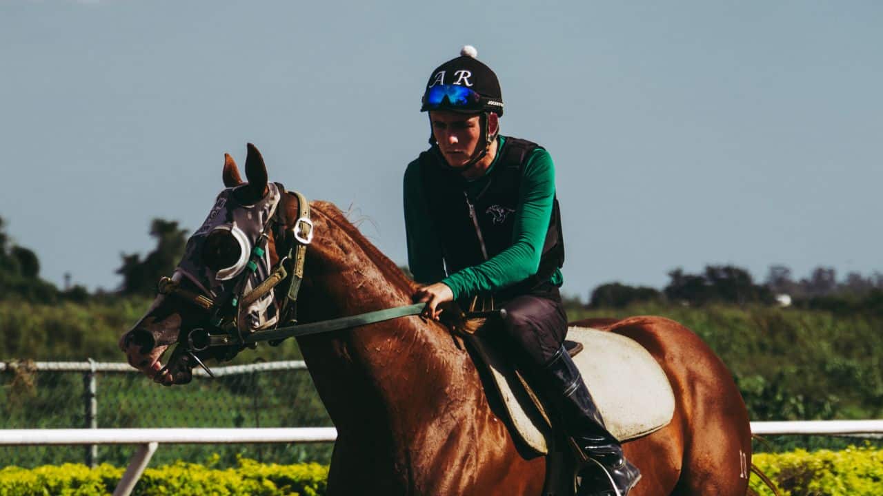 Who is Rodolphe Scherer India Equestrian coach, biography, age, height, nationality, coaching career