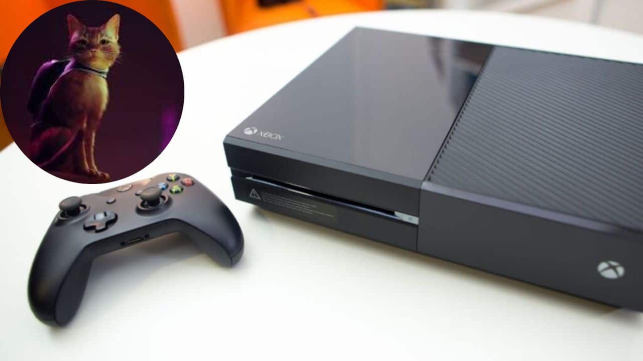 Is Stray Coming To Xbox Or Is It PS4 And PS5 Platforms Exclusive