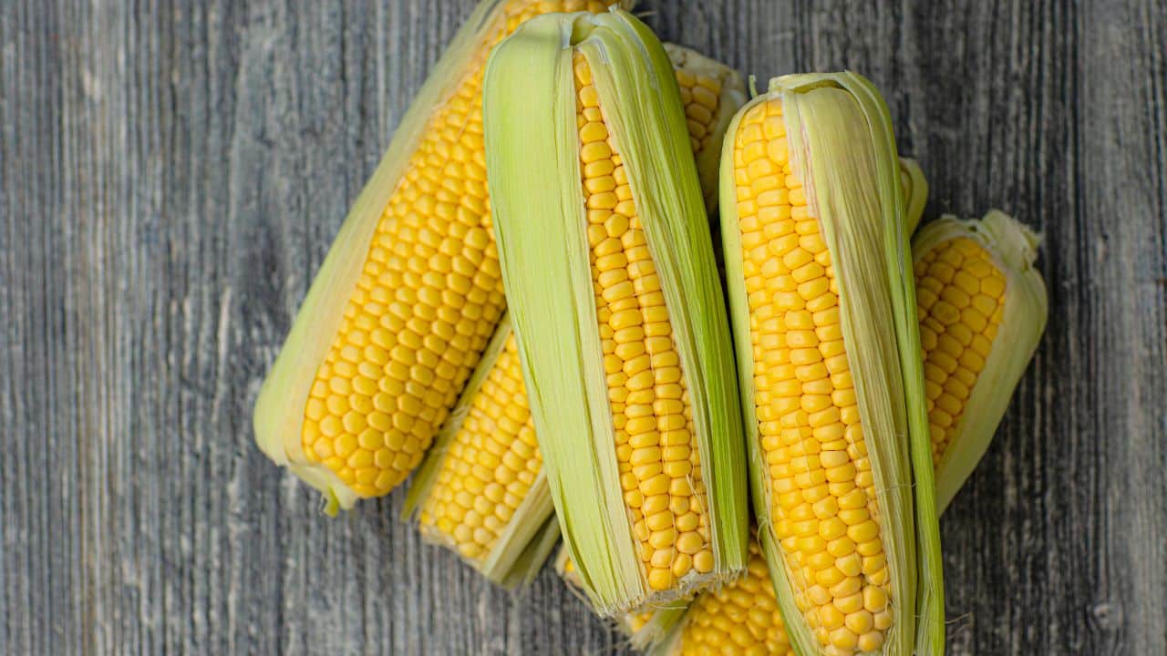 explained-what-is-the-meaning-of-corn-emoji-on-tiktok-the-sportsgrail