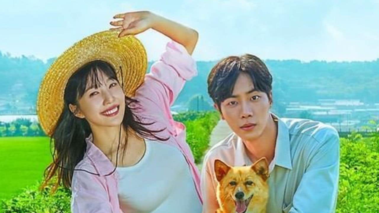 Once Upon a Small Town Kdrama Season 2 Update, Release Date, Plot Story