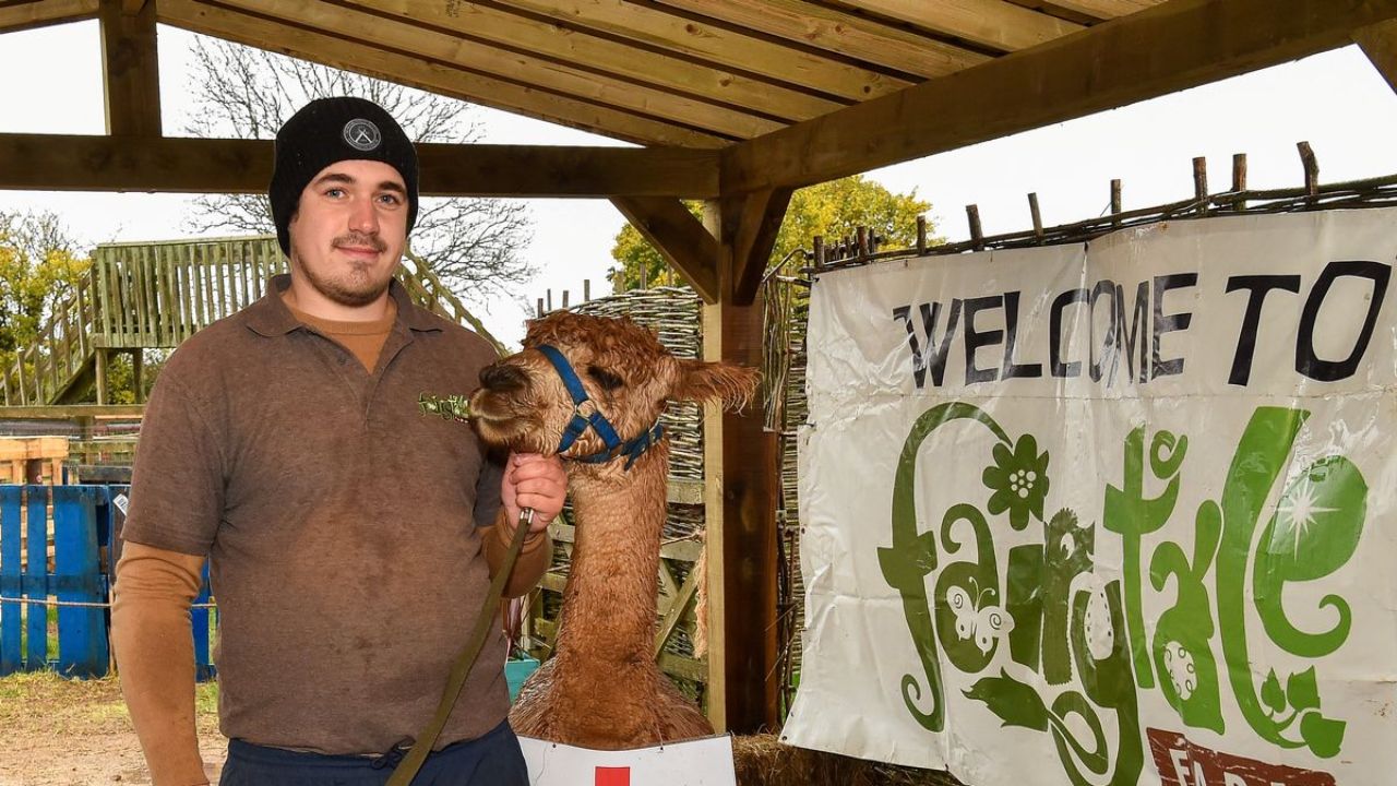 Who Is Alfie The Alpaca Of Oxfordshire, His Story And FIFA World Cup 2022 Predictions