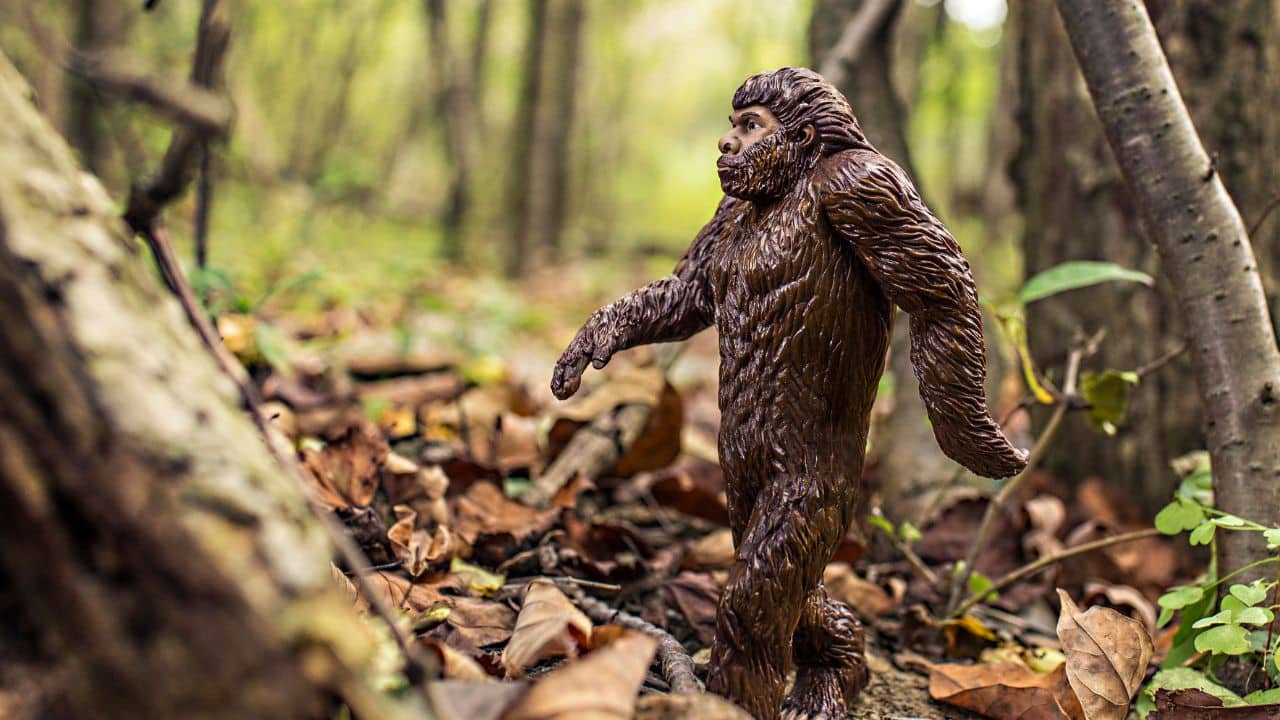 Watch video of Bigfoot from Washington in 2023 goes viral on TikTok
