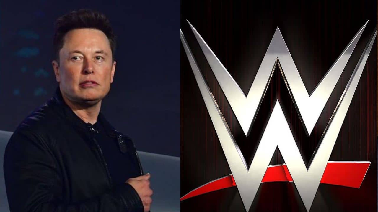 Is Elon Musk buying WWE as rumors of it being sold go viral