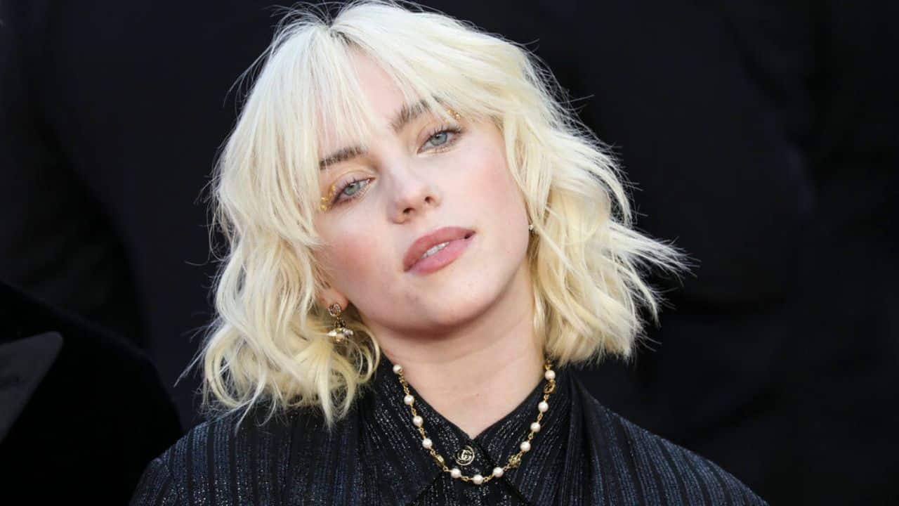 Who is Chris Anderson stalker of Billie Eilish as he tries to break