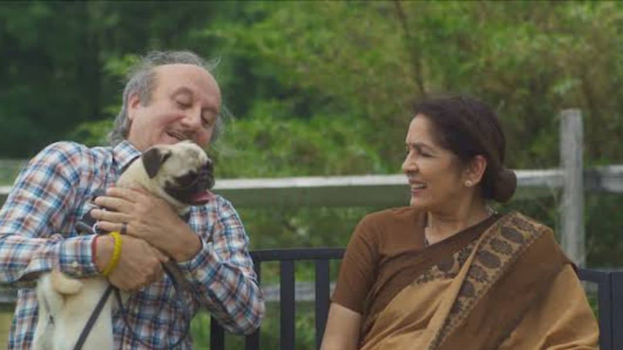 Shiv Shastri Balboa movie box office collection, budget, story, cast, OTT release date