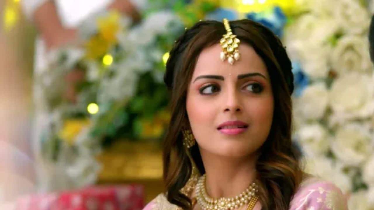 Maitree Zee TV new serial cast, time slot, story, OTT platform, release date