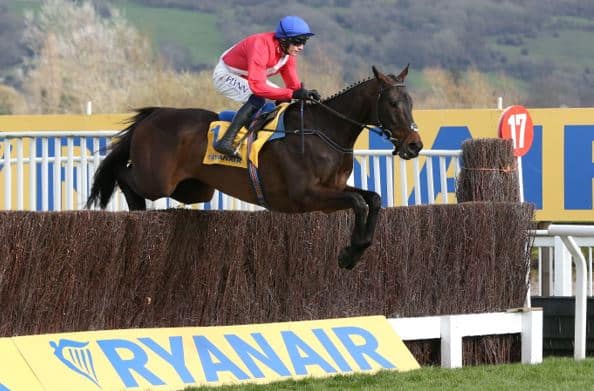 A look at Cheveley Park stud horses recent success at the Cheltenham Festival