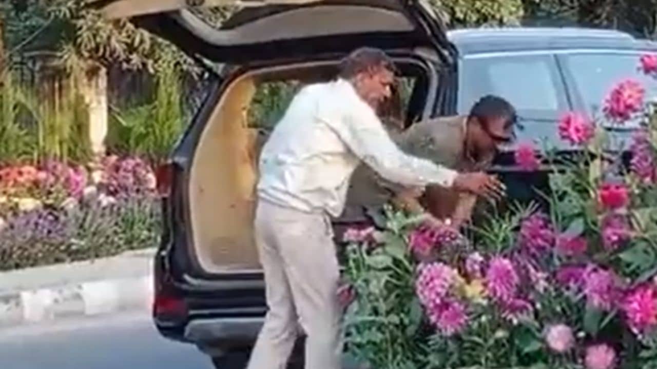 Who is Manmohan Yadav owner of Kia Carnival used to steal G20 summit flower pots in Gurugram as gamla chor trends on Twitter