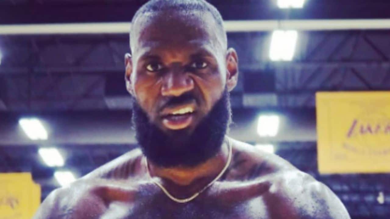 Did LeBron James and Taylor Swift pay for Twitter blue check verification or is it a gift from Elon Musk