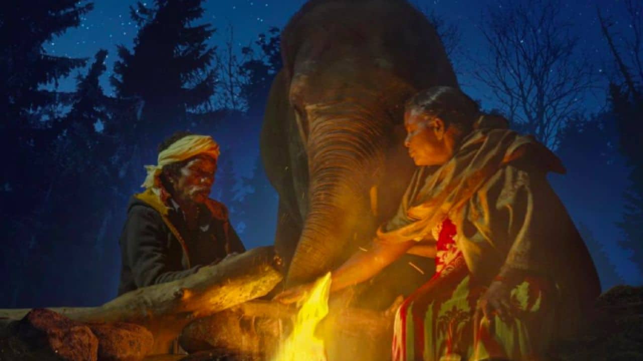 Who are Bomman and Bellie the duo who inspired the Elephant Whisperers and their true story