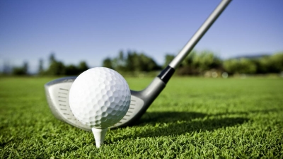 Golf: Opposite attracts as Im and Mitchell soar at Zurich Classic of New Orleans