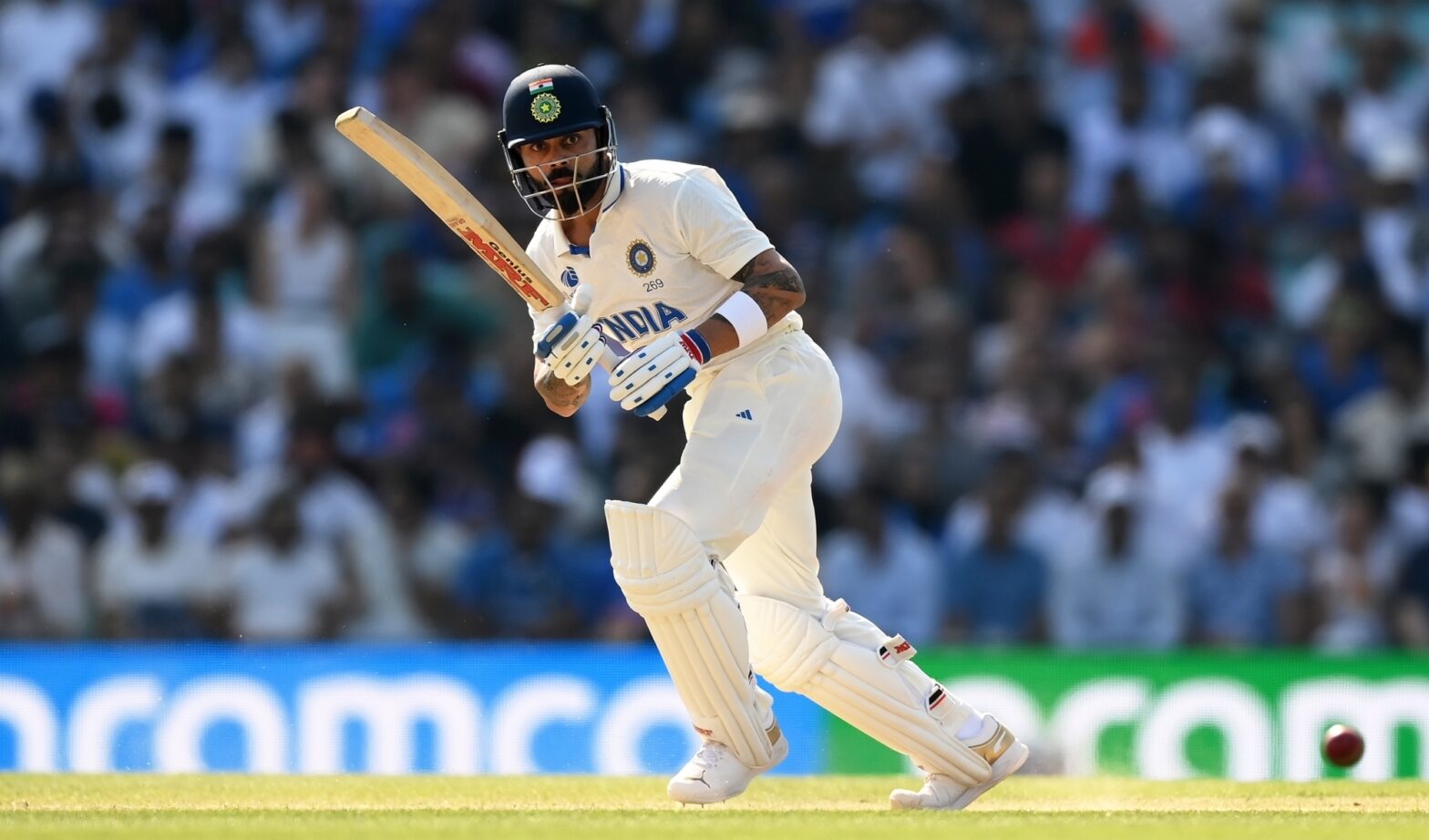 WTC Final: Have a great attack that can take the wicket of Virat Kohli, says Mitchell Starc