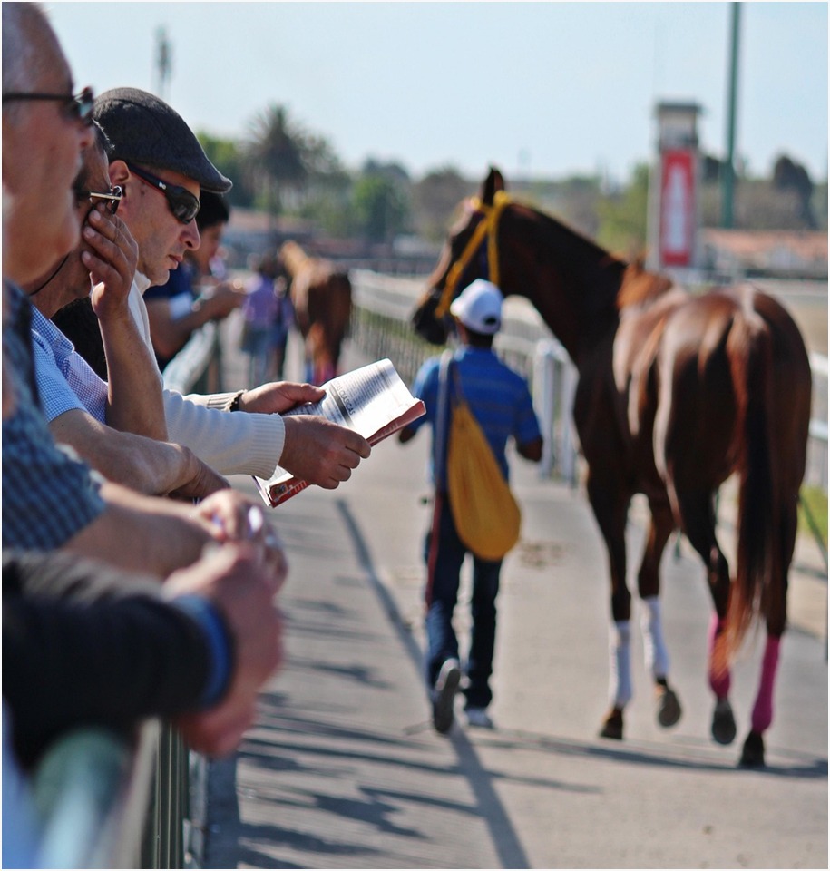 Who Can Steal the Spotlight at This Year’s Preakness Stakes?